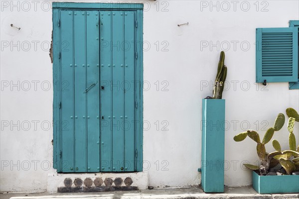 Turquoise green door, nopale (Opuntia) in tubs in front of a white façade, Las Negras,