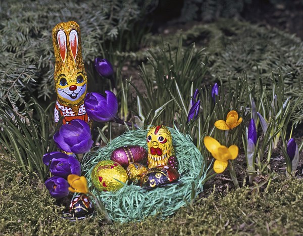 A colourful Easter bunny stands next to a nest of Easter eggs surrounded by purple and yellow
