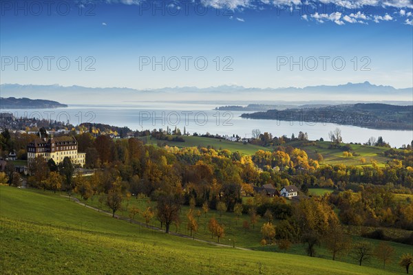 View over Lake Constance in autumn, Spetzgart Castle in front, Alpine chain behind, near
