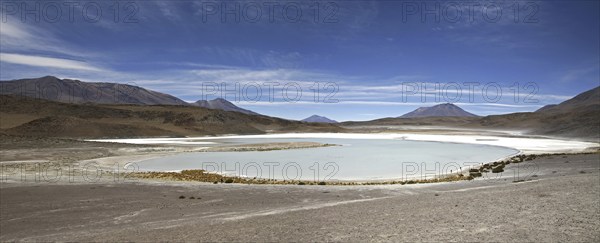 Salt lake Laguna Honda on the Altiplano, Bolivia, South America
