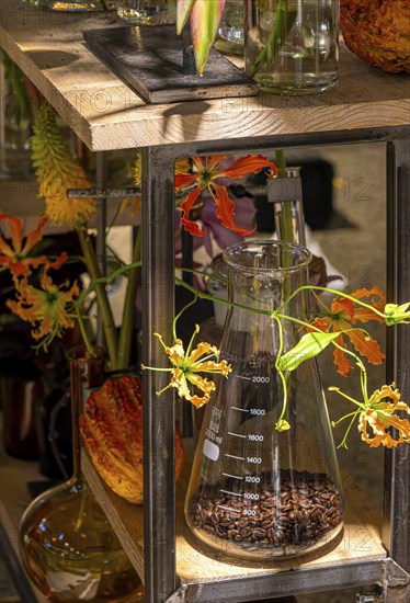 Artistic flower arrangements and decorations, German Floristry Championships, Berlin, Germany,