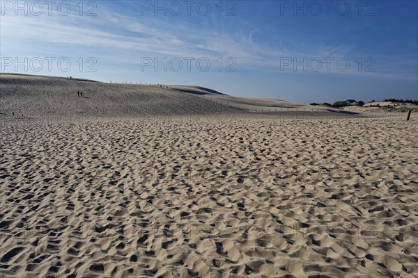Dune landscape around the Lontz Dune, Wydma Lacka, the largest travelling dune on the Polish Baltic