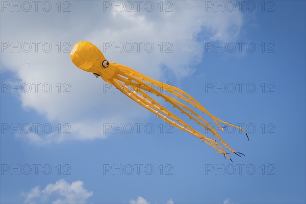 Yellow squid as flying dragon, octupus, wind, childhood, figure, blue sky, autumn, Germany, Europe