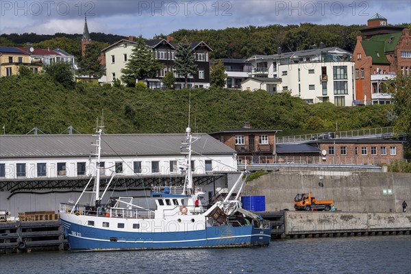 The town harbour of Sassnitz, island of Rügen, fishing boats, Mecklenburg-Western Pomerania,
