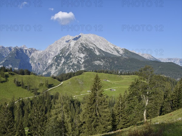 View across the Büchsenalm alpine pasture to the Watzmann with the Watzmann east face,