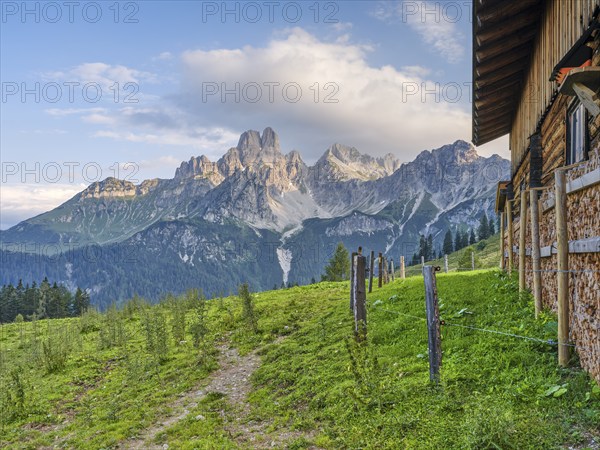 Alpine meadow in front of the large Bischofsmütze, Gosaukamm, Dachstein massif, Sulzenalm,