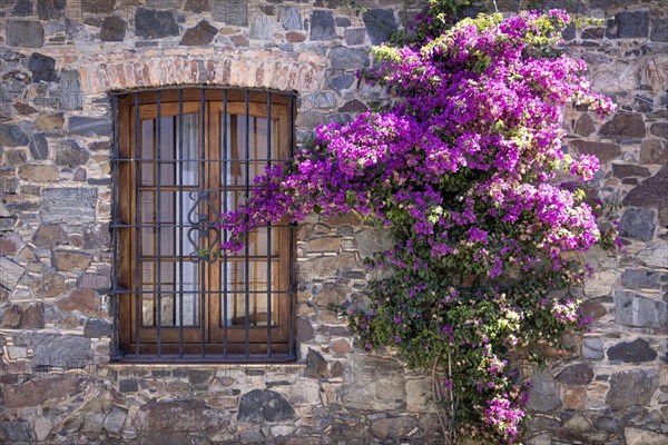 Uruguay, colonial streets of Colonia Del Sacramento in historic center of Barrio Historico, South