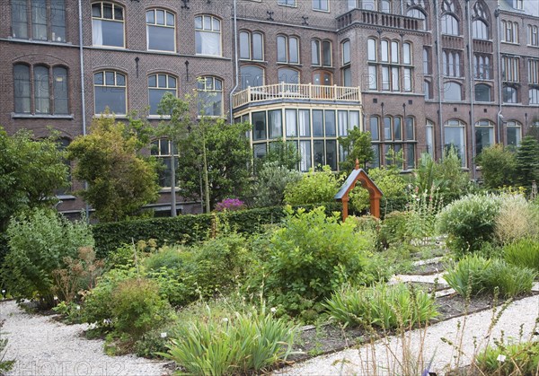 Plants growing in the botanical gardens at the University of Leiden, Netherlands