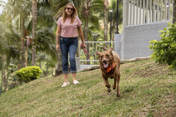The exuberant and joyful dog runs towards the camera in the park, wearing a colorful bandana around
