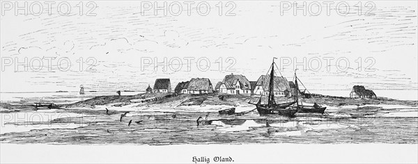 Hallig Oland, North Frisia, North Sea, Schleswig-Holstein, Wadden Sea, low tide, terp, sailing