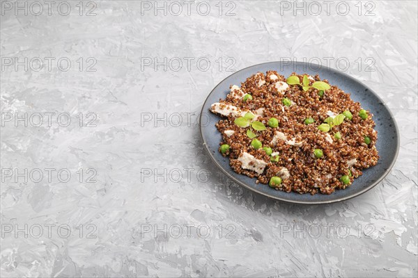 Quinoa porridge with green pea and chicken on ceramic plate on a gray concrete background. Side