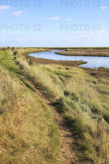 Landscape at high tide Barthorp's Creek, Hollesley Bay, near Shingle Street, Suffolk, England, UK