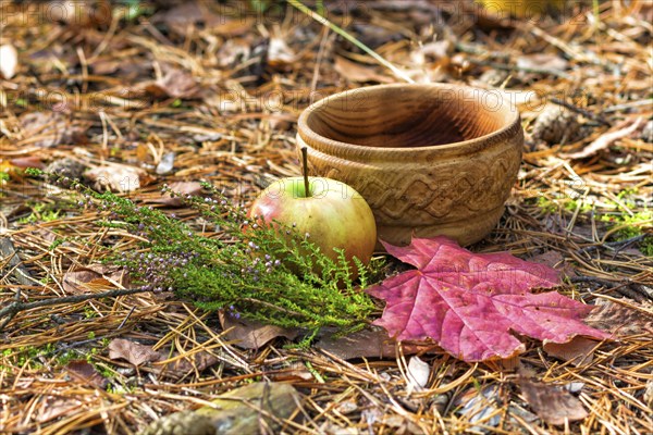 A wooden plate with heather, apple and red leaves. still life