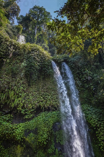 Tiu Kelep waterfall, nature, landscape, flowing, river, fresh, clear, clean, environment,