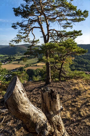 Landscape in the Rureifel, view of the countryside, near Nideggen, Düren district, North