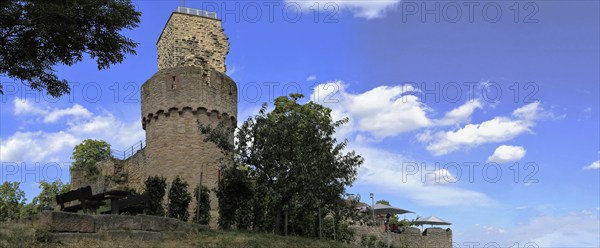 The Wachtenburg castle near Wachenheim close to Bad Dürkheim