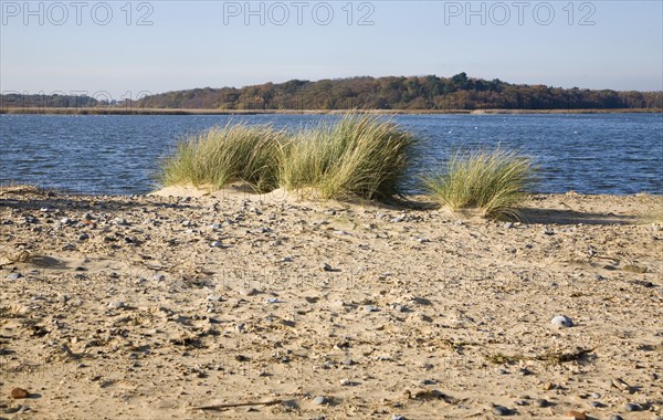 Benacre Broad lake is separated from the sea by the shingle beach bar of Benacre Ness, Suffolk,