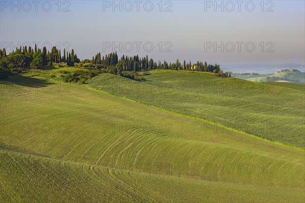Crete Senesi, Province of Siena, Tuscany