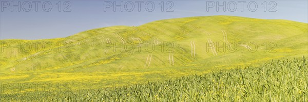 Landscape around Pienza, Val d'Orcia, Orcia Valley, UNESCO World Heritage Site, Province of Siena,