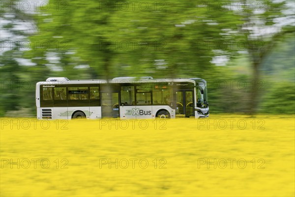 Landscape on the Lower Rhine, XBus line in rural areas, VRR, regional transport, public transport,