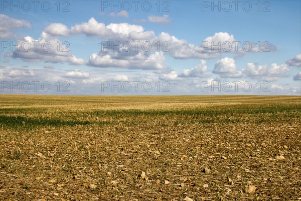 Harvested grain field, clouds, Freyburg, Saxony-Anhalt, Germany, Europe