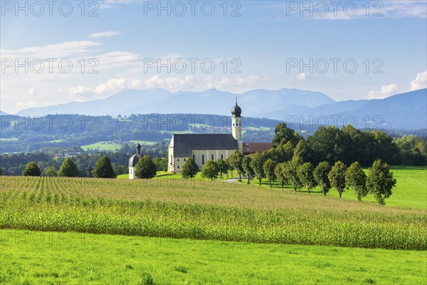 Pilgrimage church of St Marinus and Anian in Wilparting, cornfield, avenue, meadow, municipality of