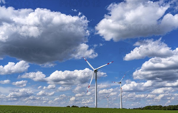 Wind farm, wind turbine, wind turbines from the manufacturer Enercon, blue sky with many white