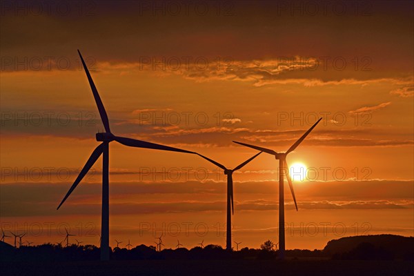 Europe, Germany, Lower Saxony, wind farm, power generation, sunset, wind turbines, wind turbine,