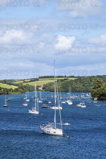 Boats and Yachts on Kingsbridge Estuary in Salcombe and Mill Bay, Batson Creek, Southpool Creek,