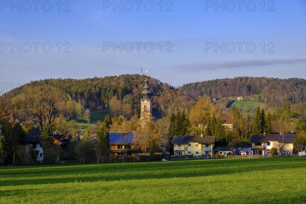 Großgmain, Salzburger Land, Austria, Europe