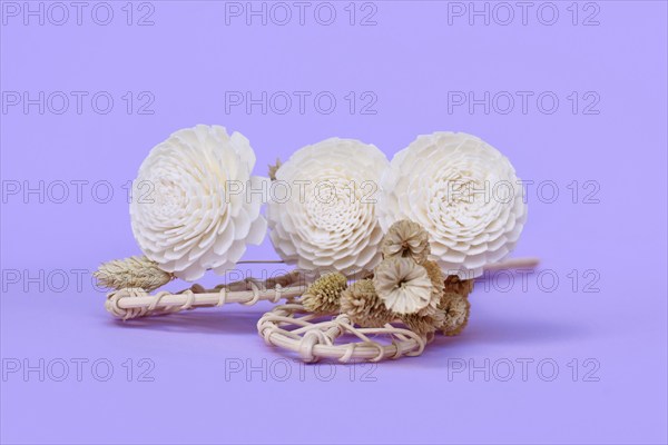 Dried and fake paper flower boho style home decoration on violet background