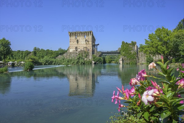 Mincio River and Visconti Bridge from 1395, Borghetto, Valeggio sul Mincio, Province of Verona,