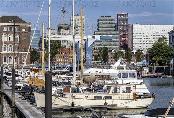 Rotterdam Marina, behind high-rise buildings in the Maritiem District on the other side of the