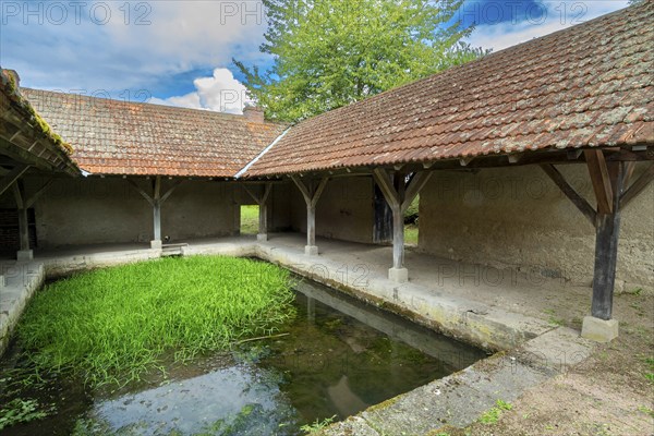 Washhouse in Montaigu-le-Blin village features a grassy basin, Allier. Auvergne-Rhone-Alpes,