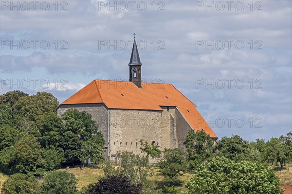Former monastery church, church, Wittenburg, Elze, Lower Saxony, Germany, Europe