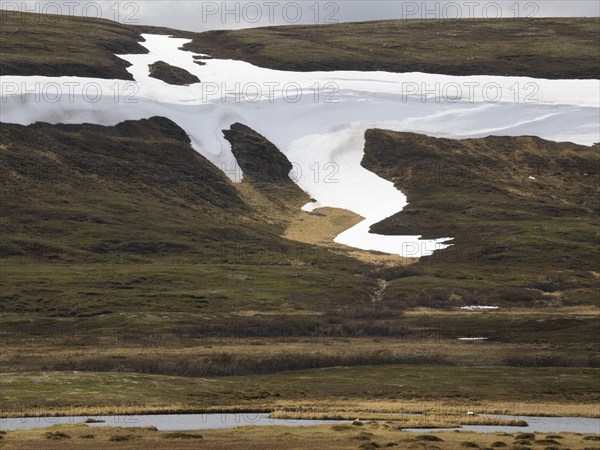 Snowfield remains in the lee of a tundra hill slope, Varanger National Park, Varanger Fjord, May,