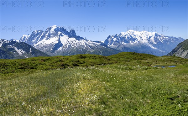 Mountain panorama with glaciated mountain peaks, Aiguille Verte with Aiguille du Midi and Mont