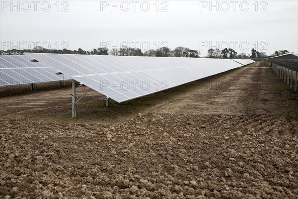 Solar array of photovoltaic panels in a large new solar park at Bucklesham, Suffolk, England,