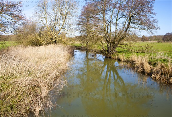 Greenish water and reeds in the channel of the River Deben near Easton, Suffolk, England, United