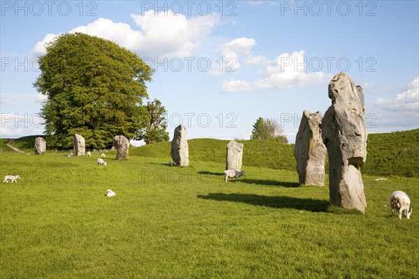 Neolithic stone circle and henge at Avebury, Wiltshire, England, UK