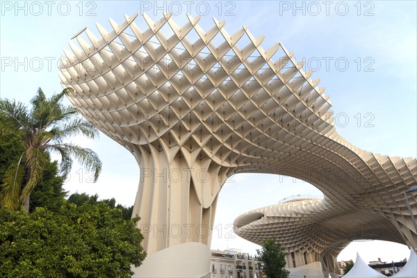 Metropol Parasol wooden structure in La Encarnación square, Seville, Spain designed by architect