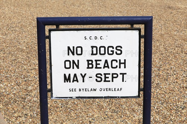 No Dogs on Beach seaside sign Felixstowe, Suffolk, England, UK