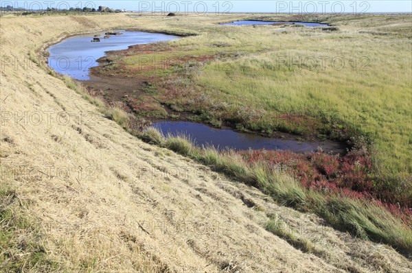 Flood defence sea wall dyke view north over coastal salt marsh to Shingle Street, Alderton,