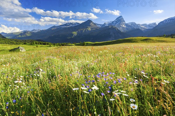 Alp Flix, Switzerland, Europe
