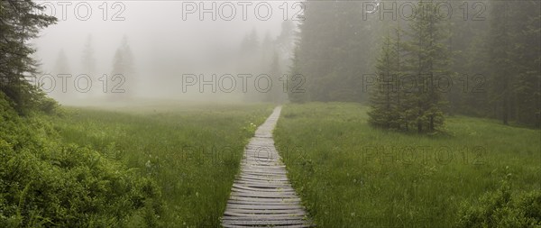 Hühnermoos on a cloudy day with fog, a high moor at Söllereck near Oberstdorf, Allgäu Alps, Allgäu,