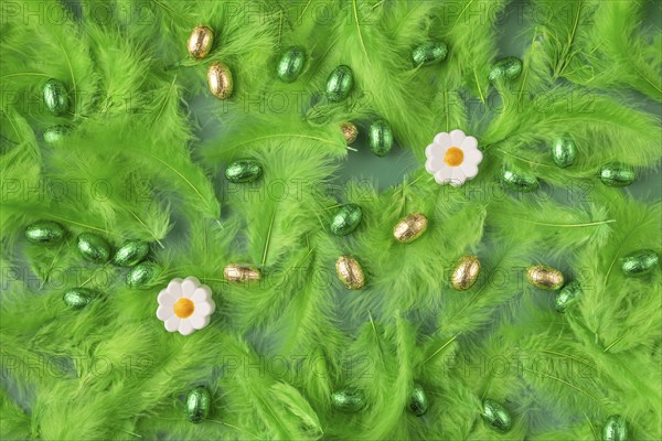 Spring-like background with green feathers, chocolate eggs and two flowers