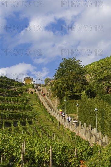 The Spitzhaus staircase is located in the Saxon town of Radebeul. It connects the Hoflößnitz