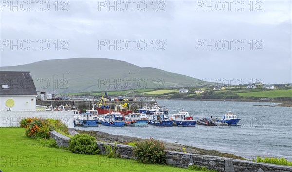 View of the harbour of Portmagee, starting point to the Skellig Islands, west coast, Portmagee,
