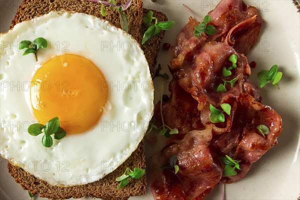 Breakfast, fried egg with bacon, micro-green, on a light background, no people, selective focus
