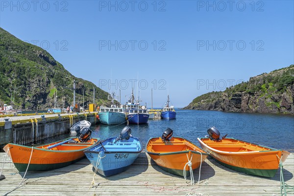 Colourful motorboats and fishing boats in the harbour of the fishing village of Lark Harbour, Bay